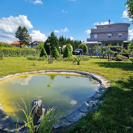 Oasis