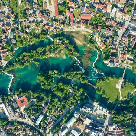 Oasis